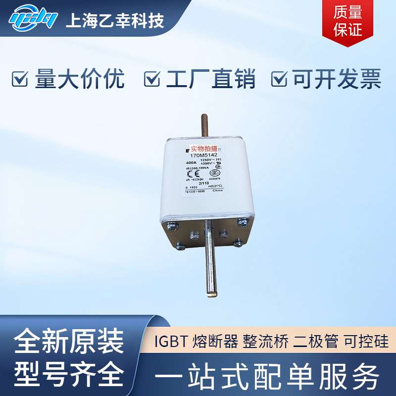 巴斯曼熔断器 170M5558 170M5559 170M5560 170M5561 170M5562