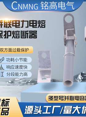 BRW-10KV-12KV/15A16A17A18A19A20A21A22A23A24A25A 高压熔断器