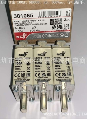DF ELECTRIC 381065 熔断器 工作电流 100A、gG、NH000、500Vac