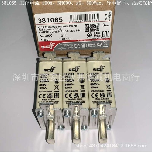 DF ELECTRIC 381065 熔断器 工作电流 100A、gG、NH000、500Vac