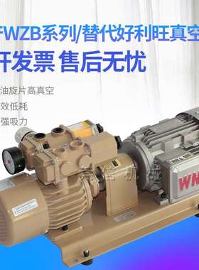 替代好利旺真空泵WZB/WQB15/25/40/60/80立方真空泵-P-VB-03/1