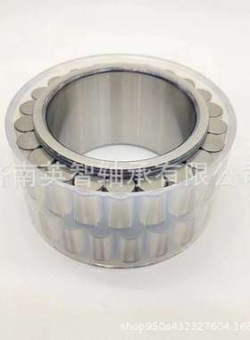 厂家直供行星减速机轴承 CPM2590无外圈圆柱滚子轴承