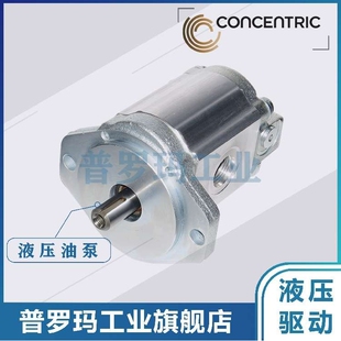 WP06A1B060R02EA101L 德国CONCENTRIC齿轮泵WP06A1B100R02EA101L