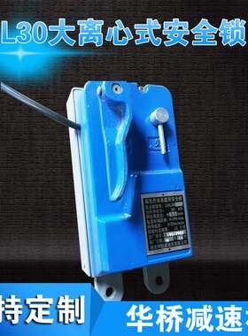 电动吊篮安全锁@ 高处作业吊篮用安全锁@ LSL30安全锁防坠落锁