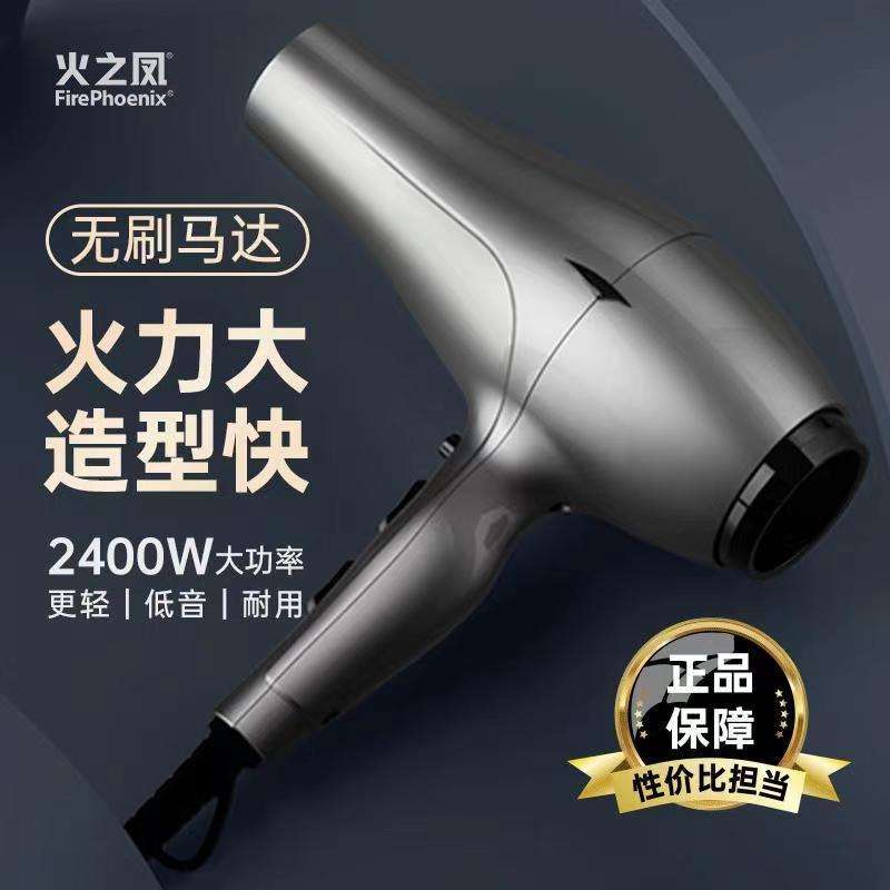火之凤专业电吹风机大功率无刷电机发廊理发店发型师专用家用风筒