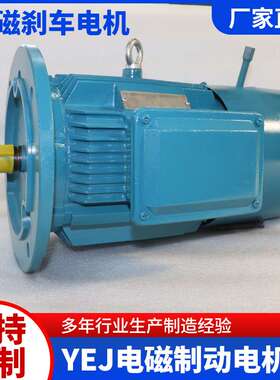 YEJ系列电磁制动电机  质保一年 立卧式三相异步 电磁刹车电机