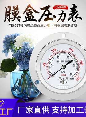 YE60ZT轴向带边面板式微压表过压保护型燃气管道测压膜盒压力表