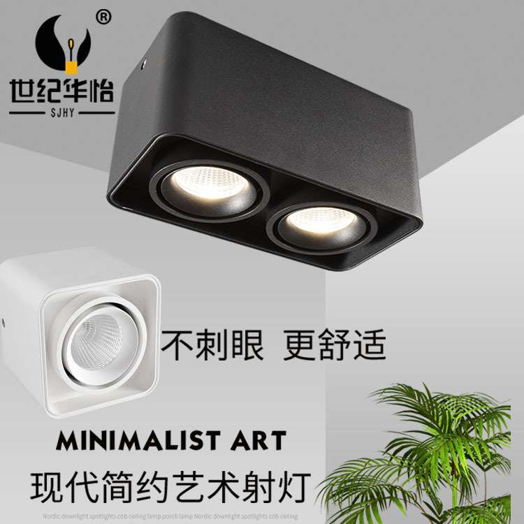 led明装筒灯方形吸顶式双头豆胆灯客厅过道天花射灯盒子灯无主灯