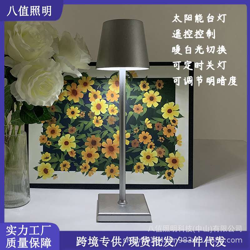 现货简约北欧LED小夜灯充电创意装饰氛围户外防水太阳能台灯