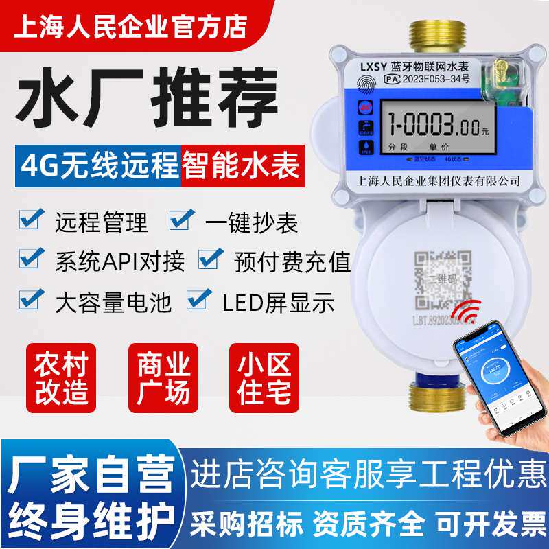 上海人民企业4G物联网远程智能预付费水表出租房家用商用立式电子