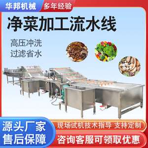 中央厨房净菜加工流水线 果蔬气泡清洗机 樱桃桃子清洗设备厂家