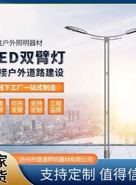 LED市电路灯 市政道路单臂单头双臂双头LED路灯 6米8米路灯杆