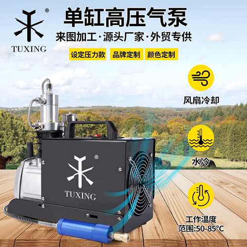 TUXING高压充气泵30mpa单缸高压电动打气机220v打气泵 自动停机