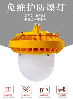 电厂LED防爆平台灯厂家70W100W防水防尘护栏弯杆LED灯工厂专用