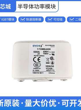 170M6408 高压户外熔断器 保险丝 巴斯曼 数量充足批次23+