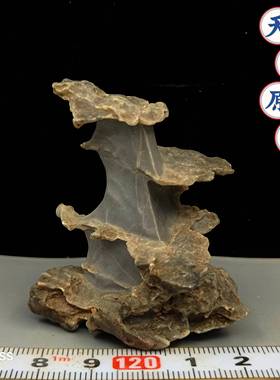 11 小风凌石 多款可选天然奇石摆件微景观盆景鱼缸配景（满50