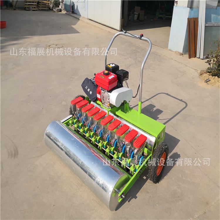 汽油助力手推式款香菜播种机汽油8行高配带胶轮版蔬菜播种机