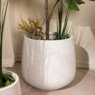 发财树盆景旁种植花盆现代简约轻奢客厅绿植盆栽大号龟背竹电视柜