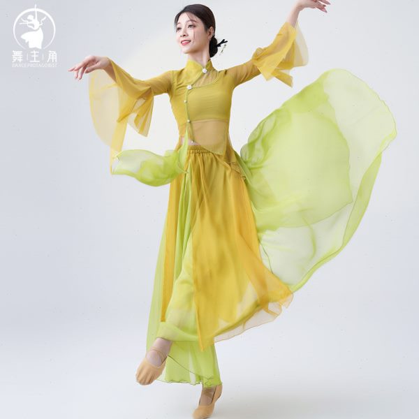 角式纱主舞演出服古典舞舞蹈服装练功服上衣衣飘逸秋冬长袖旗袍女
