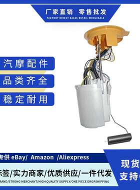 3C0919050G 3C0919050B 3C0919050AA燃油泵总成适用Passat 3C2