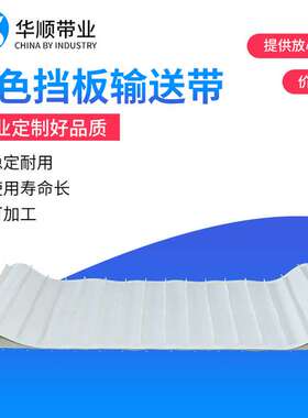白色PVC输送带 PVC挡边矿采输送带 耐油挡板带 白色挡板输送带