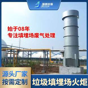 大中小型封闭式不锈钢内燃式沼气火炬 200方垃圾填埋场沼气火炬