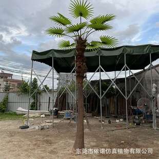 仿真椰子树大型老人葵蒲葵商场酒店大型园林景观绿化假棕榈树椰子