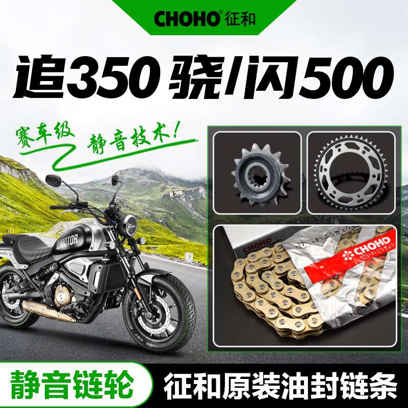 钱江QJMOTOR追350/骁500/闪500静音套链大小牙盘链轮征和油封链条