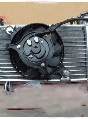 迅 风扇散热器龙S150J小B1 -原厂150J水箱B 3