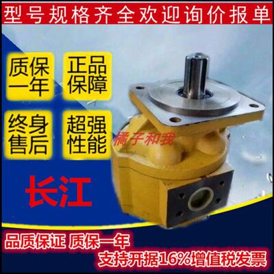 /C4050/20四川6G20a201/BFR长CB0Ba铲车0/G210-8齿轮泵20江-F-F3