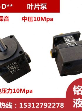 YB-D10/D6/D4/D12/D16/D25/D32/D40/D50/D63/D80/D100叶片泵6.3