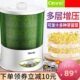 豆芽全自动大容量发智能芽发生家用盆绿豆菜神器小型罐芽桶豆芽机