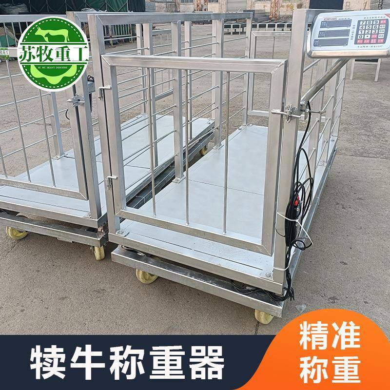 苏牧重工养殖设备犊牛称重器厂家养牛场用0-6个月小牛称重设备