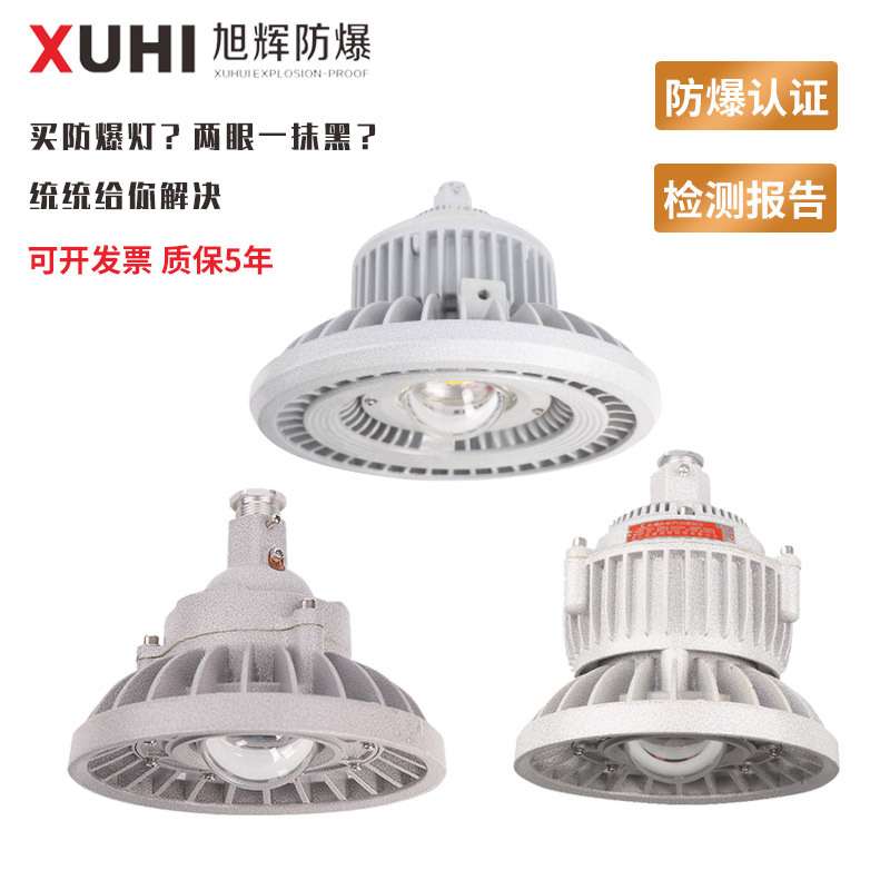 XHD510 免维护LED防爆灯50W100W150W200W防爆投光灯/防爆照明灯
