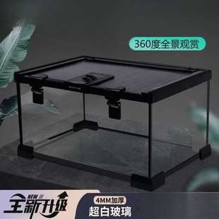 玻璃饲养箱爬虫缸雨林爬宠陆龟守宫蜥蜴角蛙蜘蛛甲虫宠物蛇生态箱