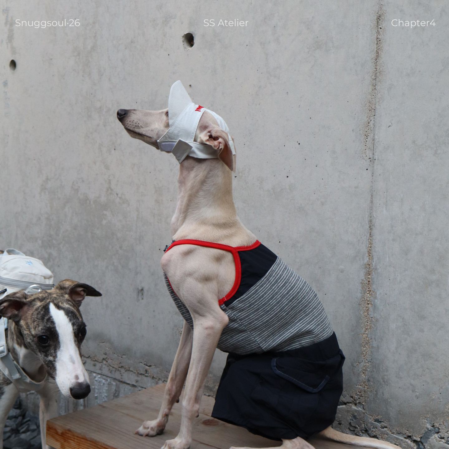 Snuggsoul中小型犬条纹连体背心