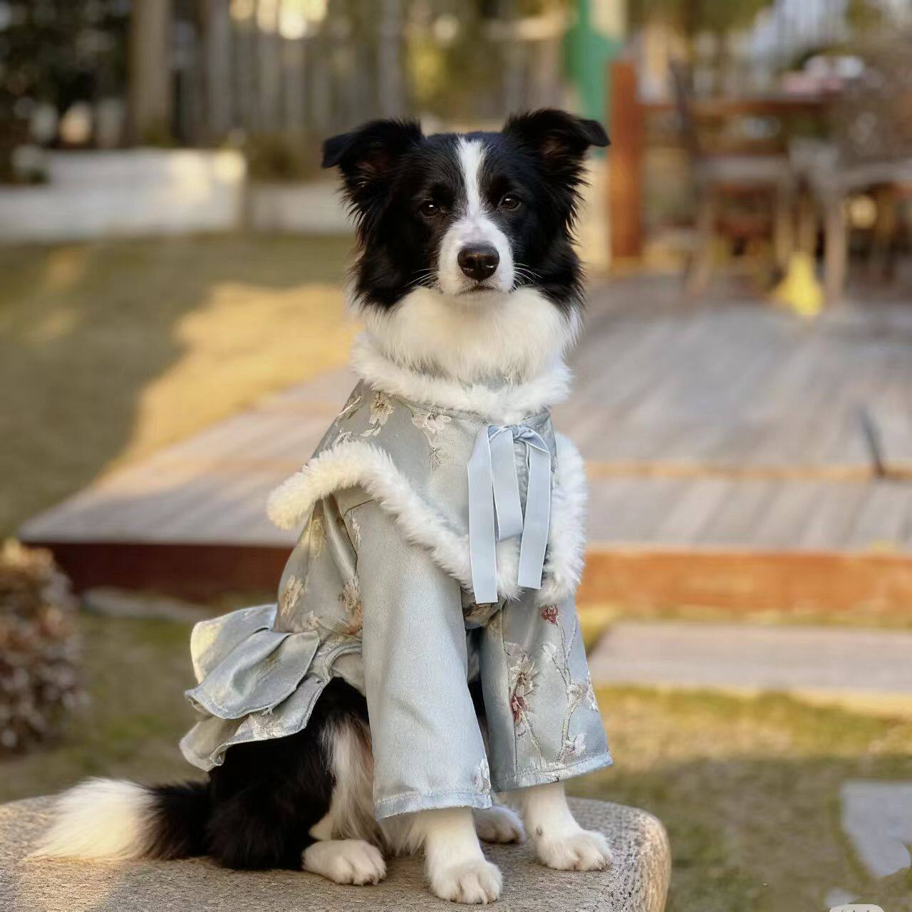 宠物狗狗秋冬款时尚防寒保暖古风梨园风格裙大中型边牧贵宾通用款,宠物/宠物食品及用品,猫宠物服装/雨衣（新）,淘宝优惠券,粉丝福利购,淘宝优惠卷