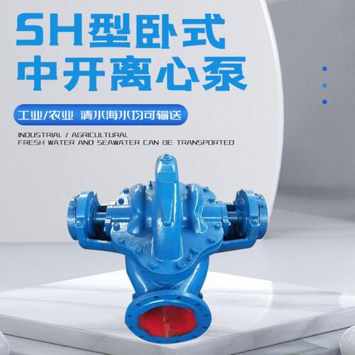 150S50铸铁单级中开双吸泵农用灌溉抽水泵电站工业用6SH-9海水泵