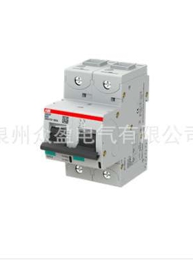 S802P-C100；2CCG001230R0001/10264135/ABB微型断路器