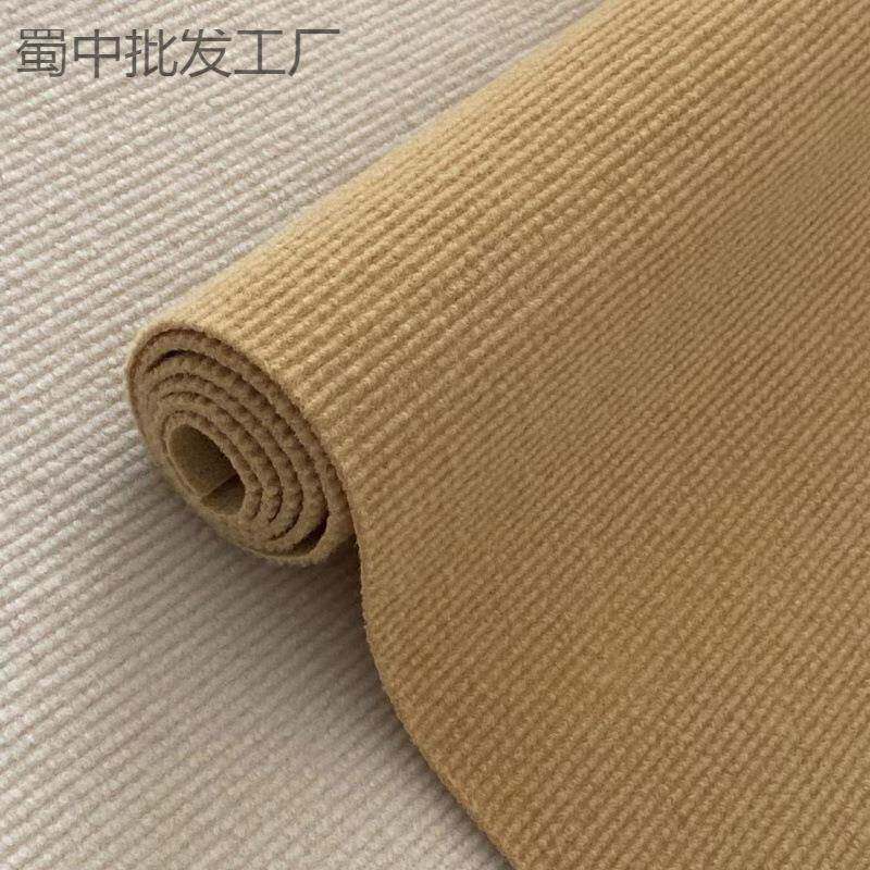 整卷地毯家用加厚大面积办公室卧室房间水泥地摄影棚拍照地毯素色