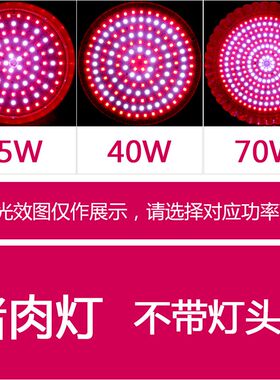 LED生鲜灯专用猪肉照明灯照肉冷灯 鲜肉卤菜超亮熟食店蔬菜水果灯