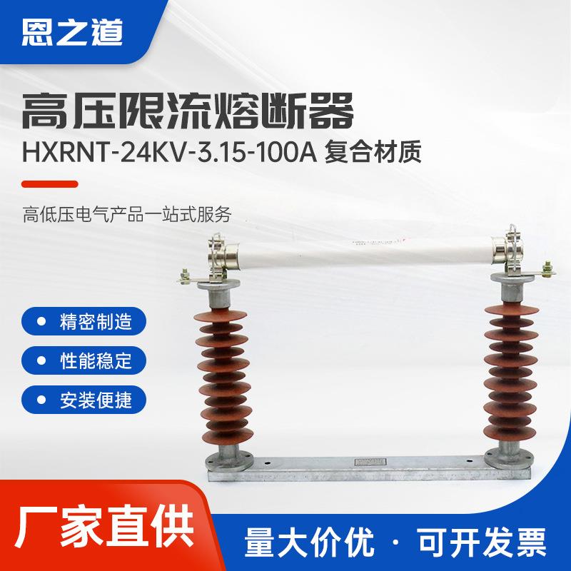 高压限流熔断器（复合材质）hxrnt-24kv-3.15-100a熔管快熔熔体