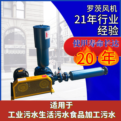 罗茨风机可设计工厂直供售后保障污水处理罗茨风机