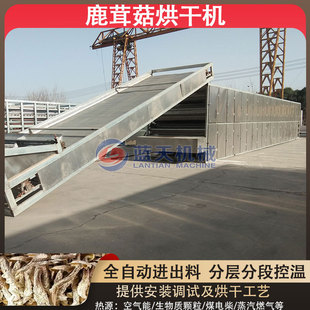 鹿茸菌烘干设备 猴头菇猴头蘑猴头菌干燥机器 鹿茸菇烘干机 履带式