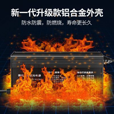 60v15a电动四轮车大功率充电器48V10A12a18a72v100ah电动汽车通用