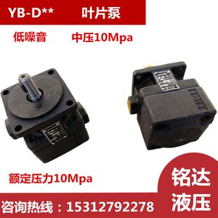 //40D12-D2550D3Y/10/D/D叶片泵16/2D3D8/646D/D/DD0B10//D036.