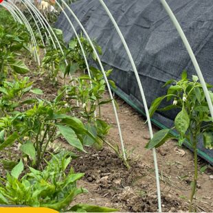 竿大棚菜支架棚棚小帐篷根拱棚玻纤实心花农用骨架保温杆拱20