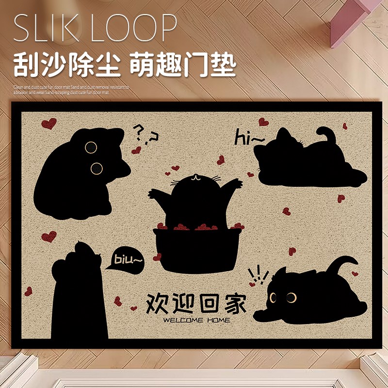 丝圈地垫入户门垫2024新款耐磨B防滑可擦免洗家用进门玄关地毯定