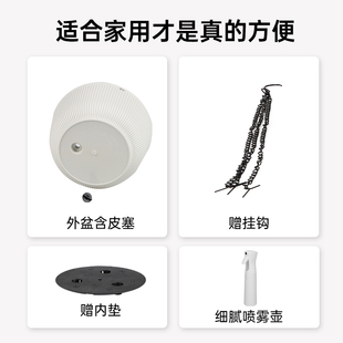 大口径花盆无托盘底孔自吸水绿y萝多肉植物树脂加厚吊篮花盆悬挂