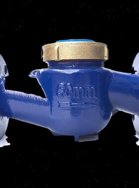 150N式卧式宁波埃宇柯/0//8表法兰旋翼D/水平10冷水数字050热20水